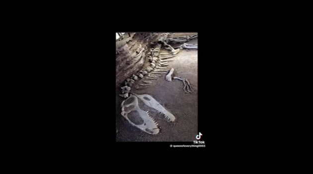 10 Conspiracy Theories That Want to Erase the Truth : #8 Will Send Chills Down Your Spine 10 Conspiracy Theories That Want to Erase the Truth : #8 Will Send Chills Down Your Spine